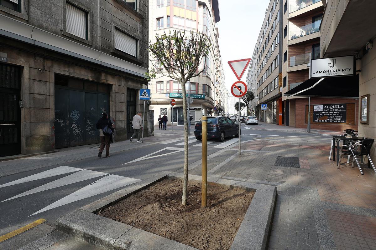 Joaquin Costa es una de las calles donde se están plantando magnolias.