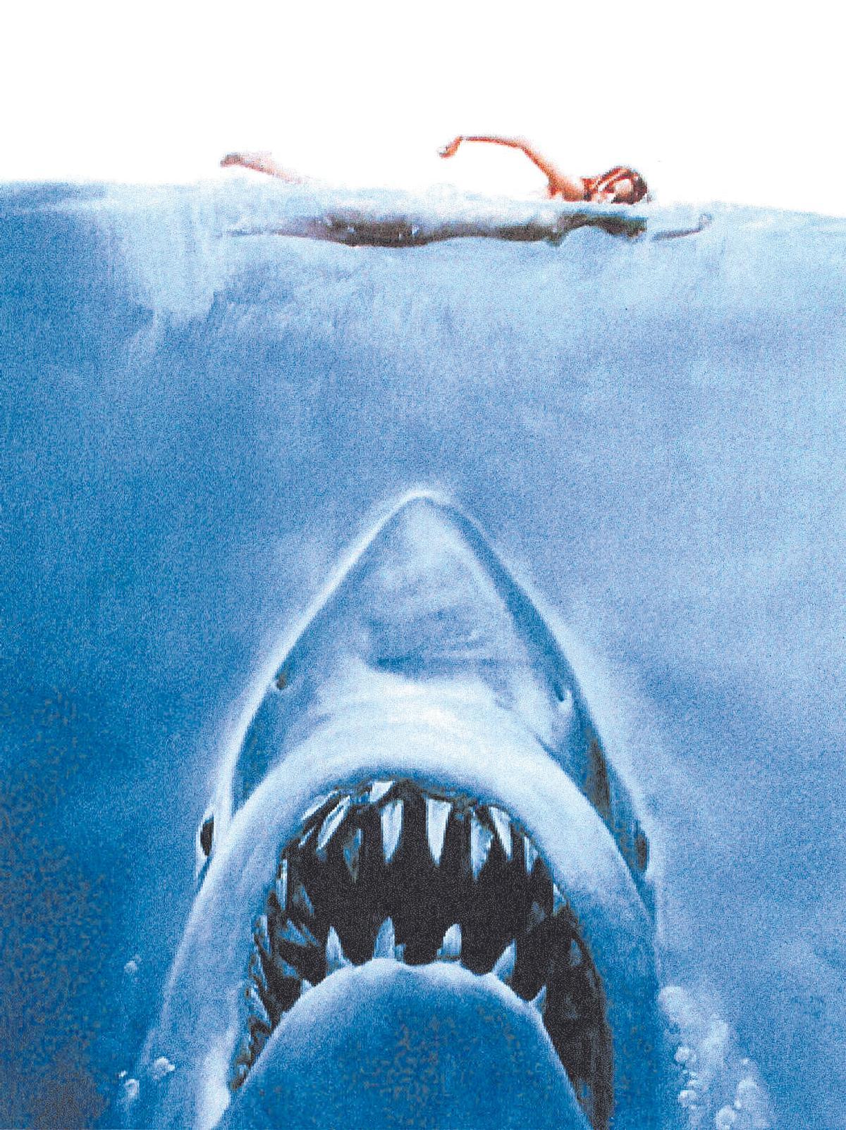 Imagen de la película &quot;Oce&amp;Films: tiburón&quot;