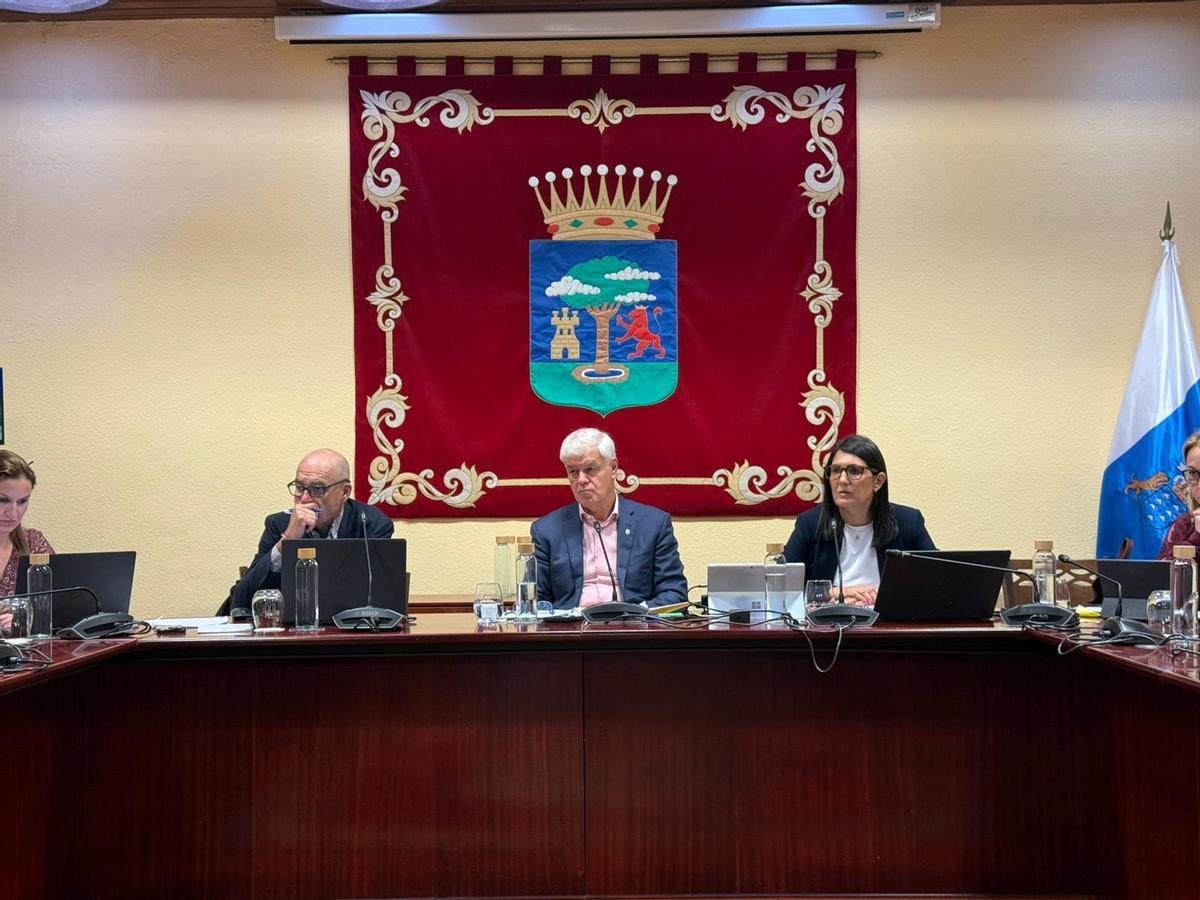 Alpidio Armas, en el centro de la imagen, durante la sesión plenaria del Cabildo de El Hierro.