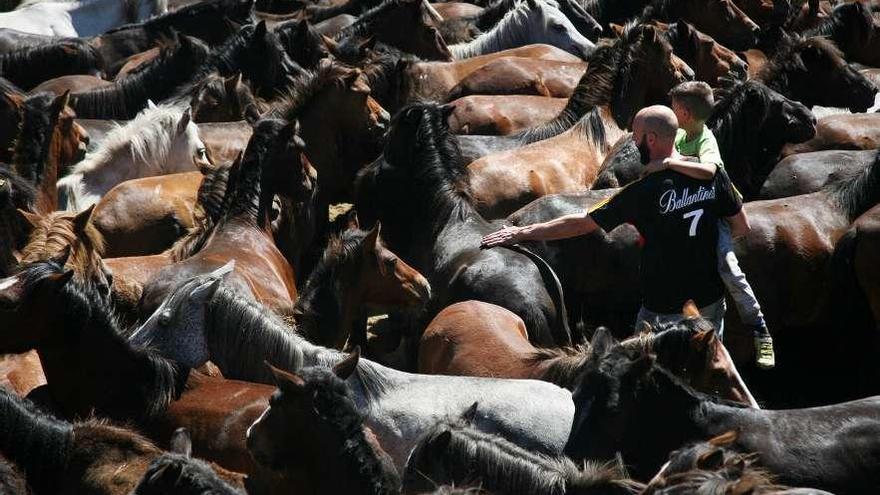 Sabucedo inicia la cuenta atrás para el primer curro de la temporada. // Bernabé/Luismy