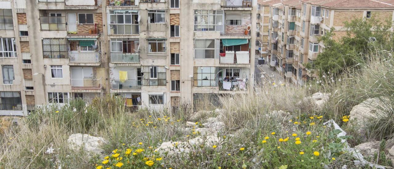 Viviendas de la Zona Norte de Alicante, donde el bipartito prevé actuar con proyectos de regeneración urbana con fondos europeos