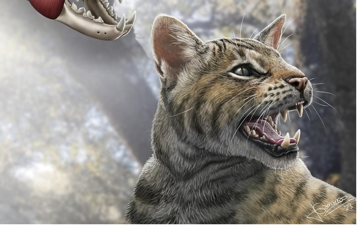 Recreación artística de la nueva especie de felino descubierta en Madrid