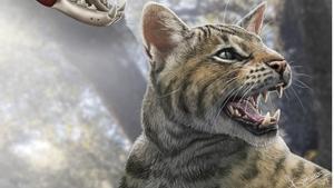 Recreación artística de la nueva especie de felino descubierta en Madrid