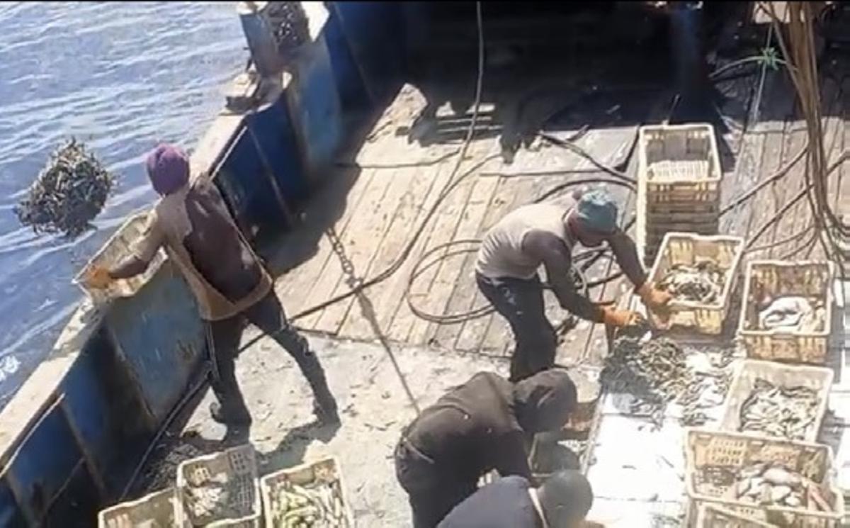 Marinero arrojando pescado por la borda en un buque industrial en Ghana