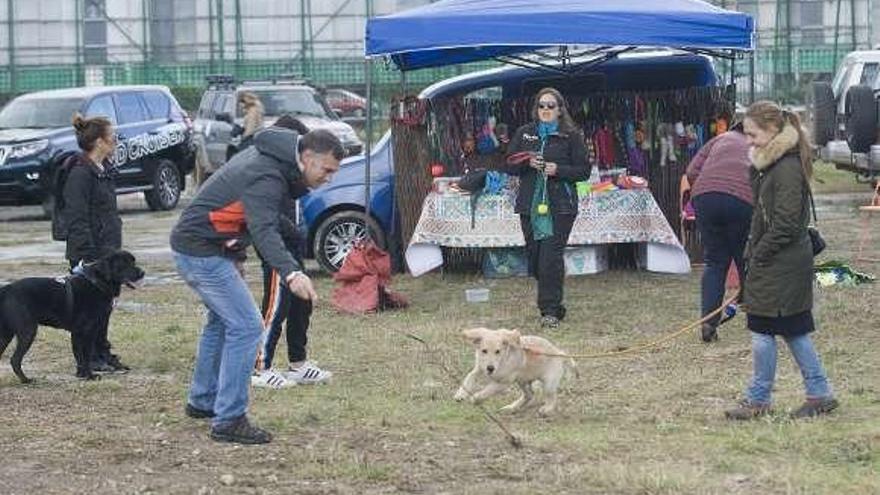 Un hombre juega con un perro frente a un puesto de &#039;Meu Can&#039;.