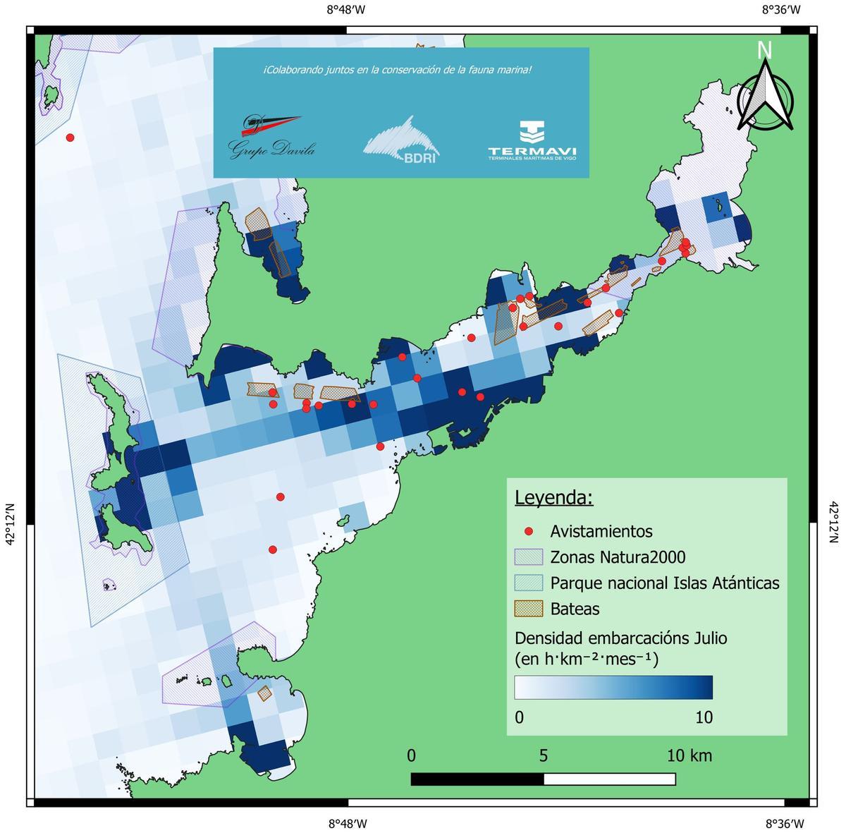 La distribución de los delfines en la ría de Vigo.
