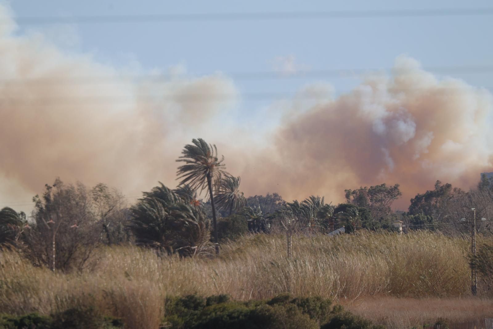 Declarado un incendio en el Saler