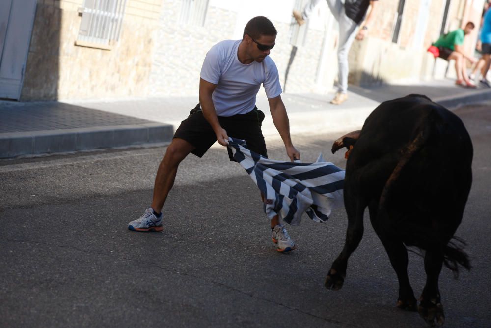 Encierro Urbano Bóveda de Toro