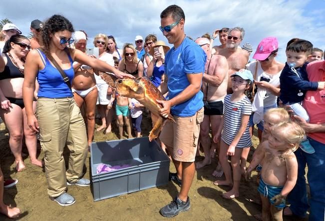 GARZA ÁNADE TORTUGA SUELTA CHARCA MASPALOMAS