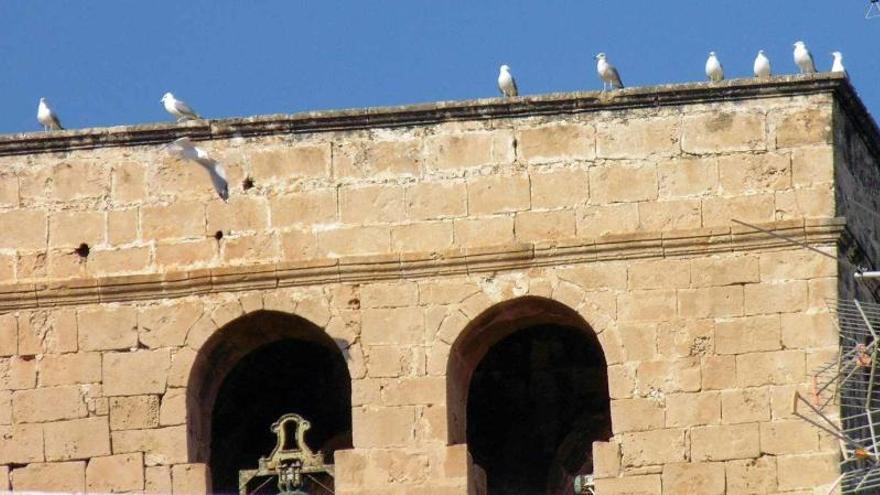 Las gaviotas en lo alto de la torre.