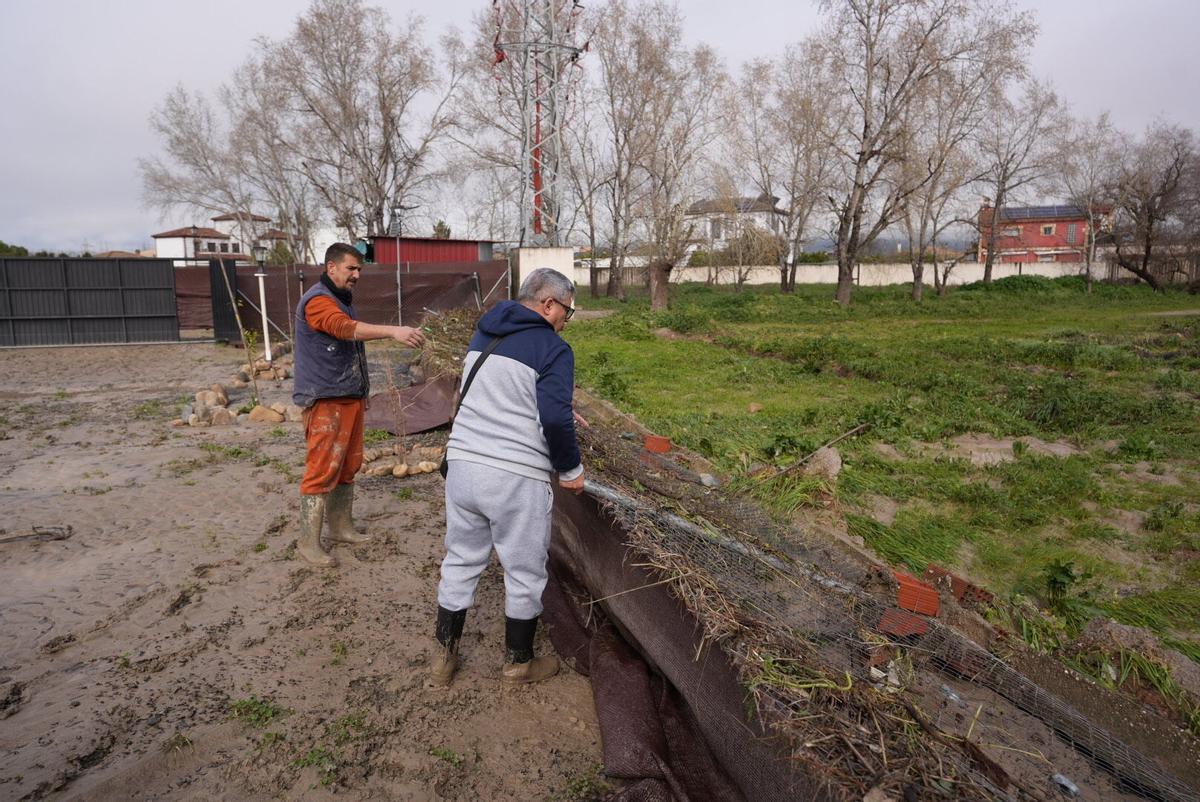 Córdoba. Borrasca, temporal, Marta, inundaciones. Limpieza de las parcelaciones inundadas
