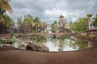 Así es el Palmétum de Santa Cruz