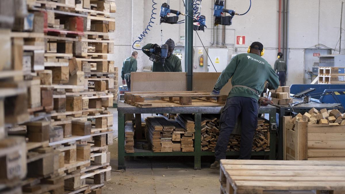 Una instalación productiva de la empresa aragonesa Querqus, especializada en la fabricación y reciclaje de palés de madera.