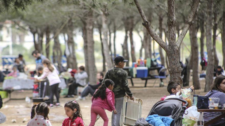 Imagen de un típico día de mona en el parque municipal de Lo Albentosa de Torrevieja