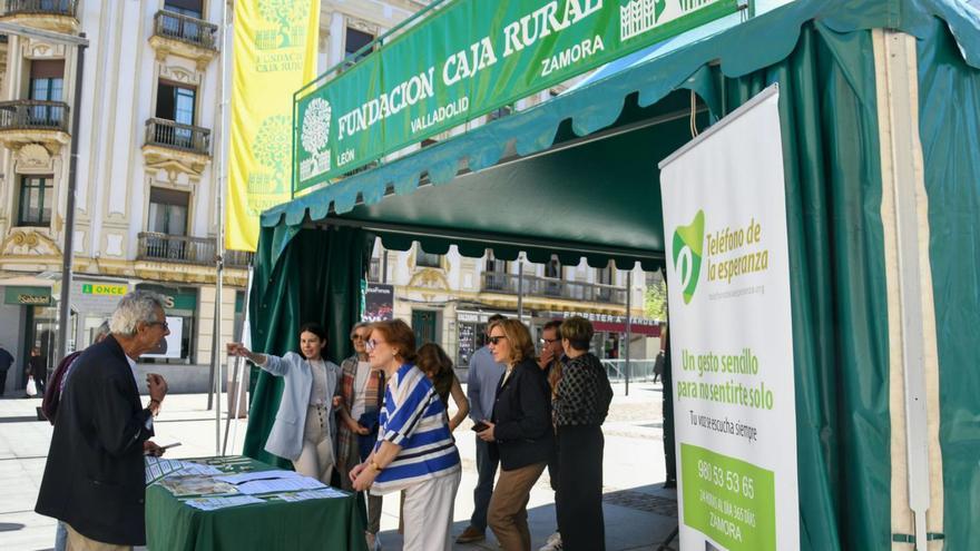 Un zamorano se informa en el stand del Teléfono de la Esperanza en plaza de la Constitución.