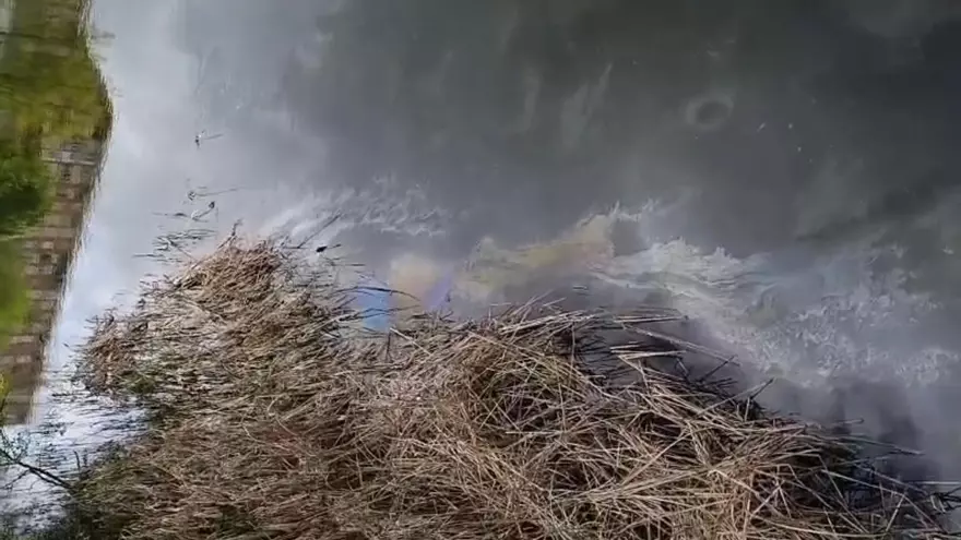 Combustible en el río Jerte de Plasencia