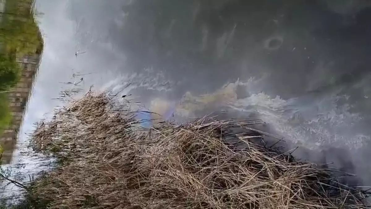 Vertido de combustible en el río Jerte de Plasencia