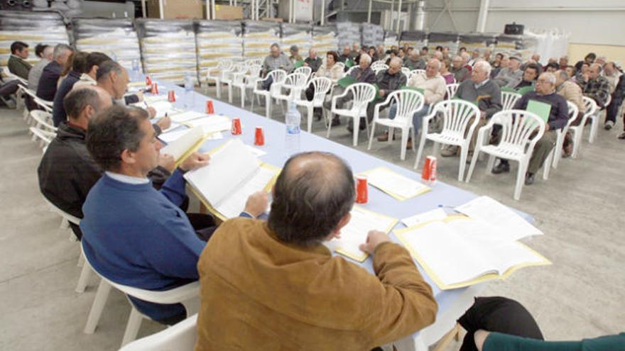 Algo más de 70 personas siguieron el balance de resultados del consejo rector de la Cooperativa Agrícola de Sant Antoni.