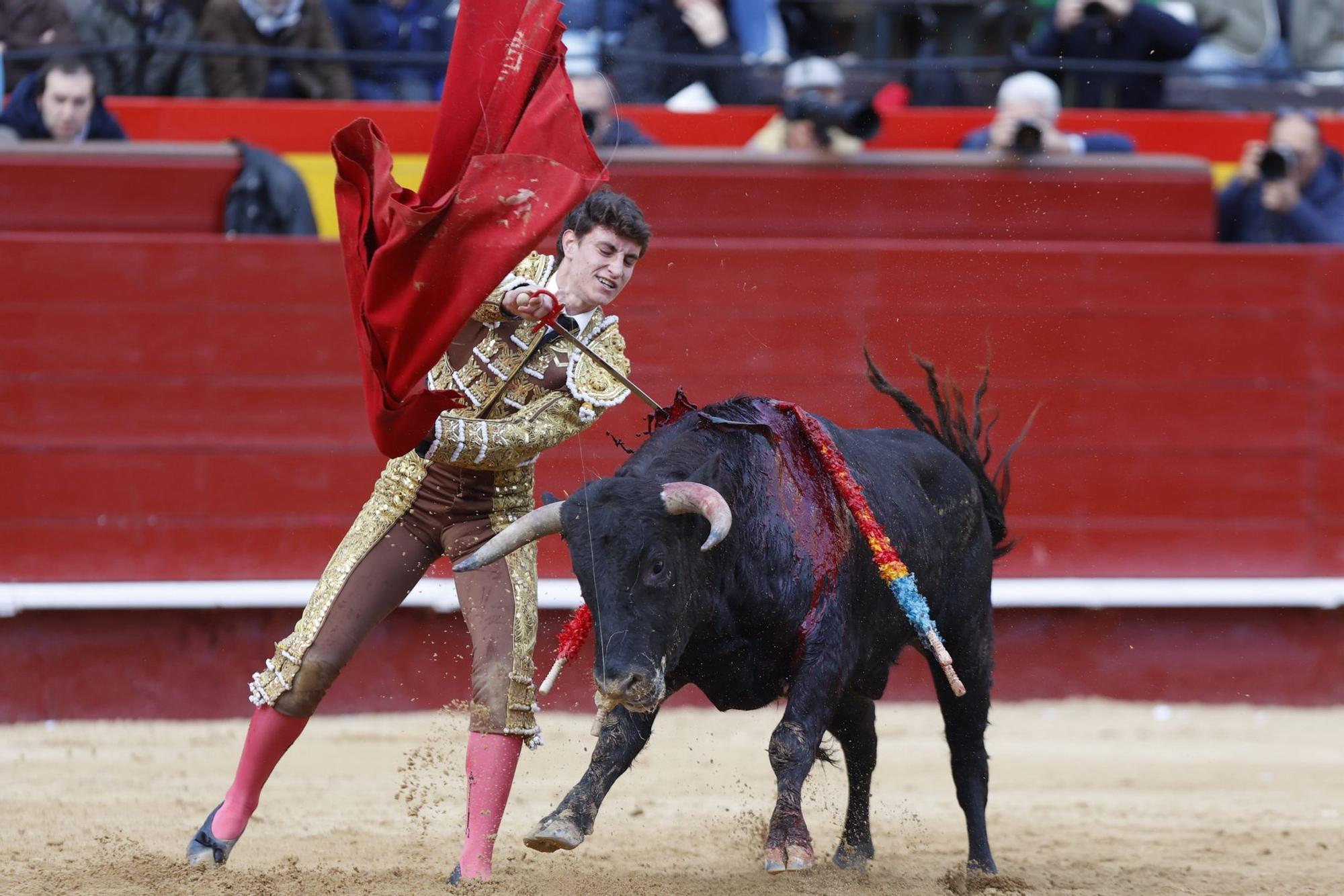 La novillada sin picadores de la Feria de Fallas, en imágenes