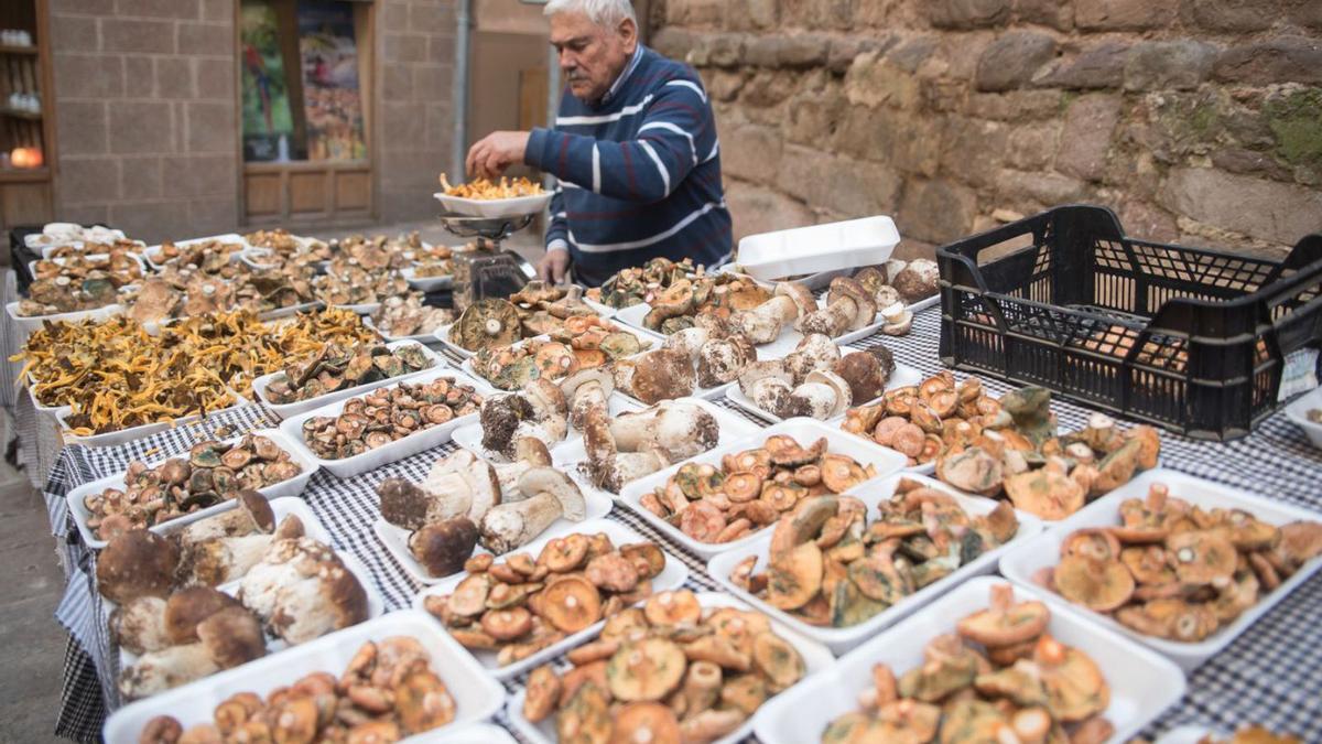 Parada de bolets a
la fira del 2019. arxiu/maria  agut