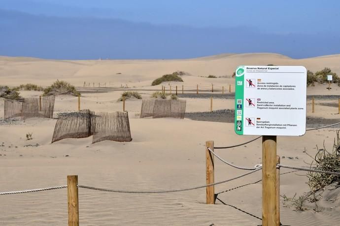 13/05/2019 MASPALOMAS. SAN BARTOLOME DE TIRAJANA. El presiddente del Cabildo de Gran Canria, Antonio Morales, y el consejero de Medio Ambiente y Emergencias, Miguel Ángel Rodríguez, informan del inicio de la segunda fase del proyecto para la recuperación de las dunas de Maspalomas, Masdunas, pionero en el mundo por sus carcterísticas .    Fotógrafa: YAIZA SOCORRO.  | 13/05/2019 | Fotógrafo: Yaiza Socorro