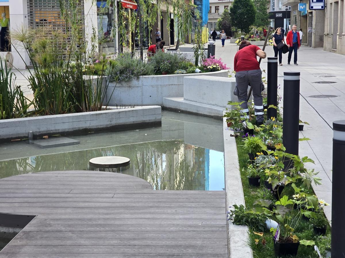 Los operarios municipales se encargan esta mañana de recuperar los deteriorados jardines de la peatonalizada calle de Arzobispo Lago, en Vilagarcía.