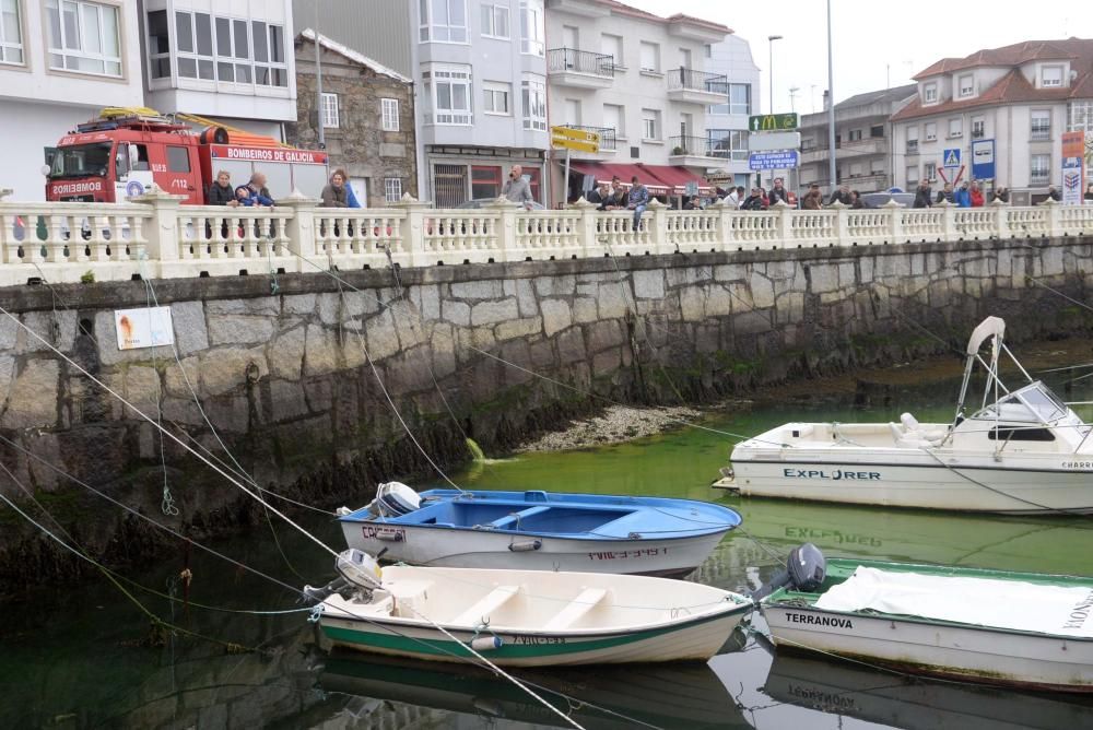 Gran mancha verde en el mar de Carril