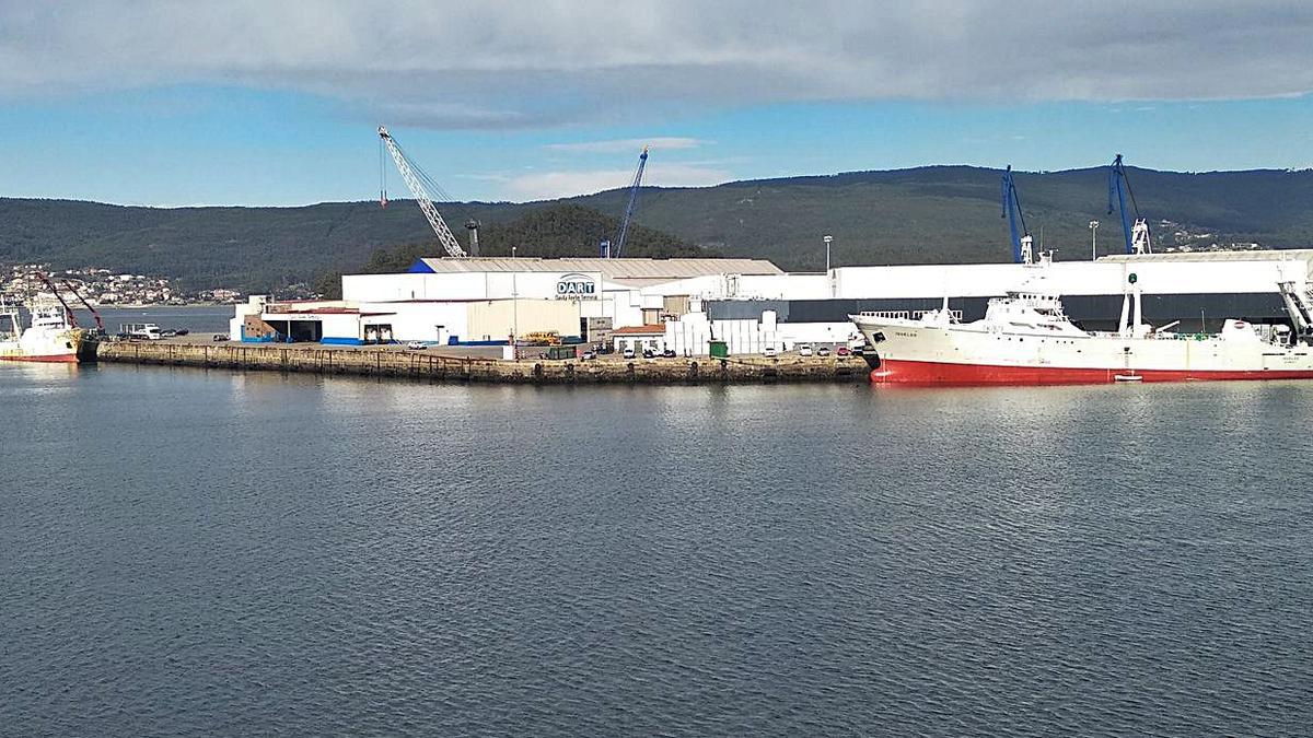 Una vista parcial del Puerto de Marín.   | // FDV