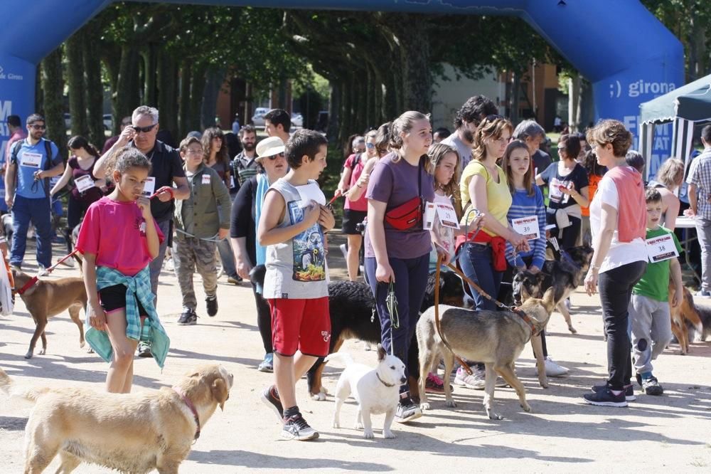 I Marxa Solidària Canina de Diari de Girona