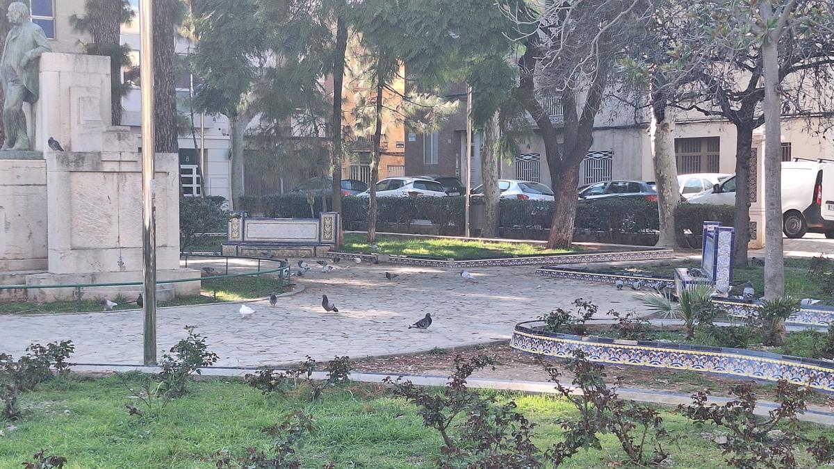 Fotogalería I Las palomas y tórtolas 'toman' el emblemático jardín de Sant Pasqual de Vila-real