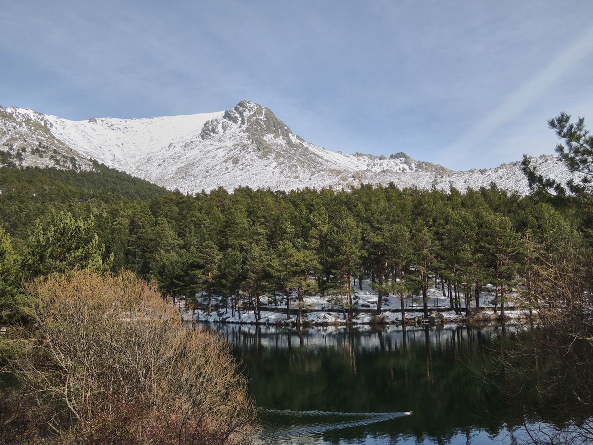 Los colores del invierno son una auténtica maravilla