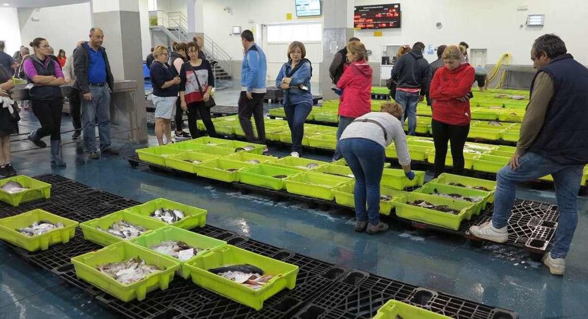 La venta de 608.000 toneladas de producto genera 1.357 millones de euros en las lonjas