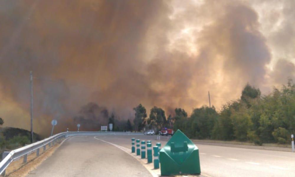 El fuego comenzó alrededor de las 16:00 y se expandió con gran velocidad