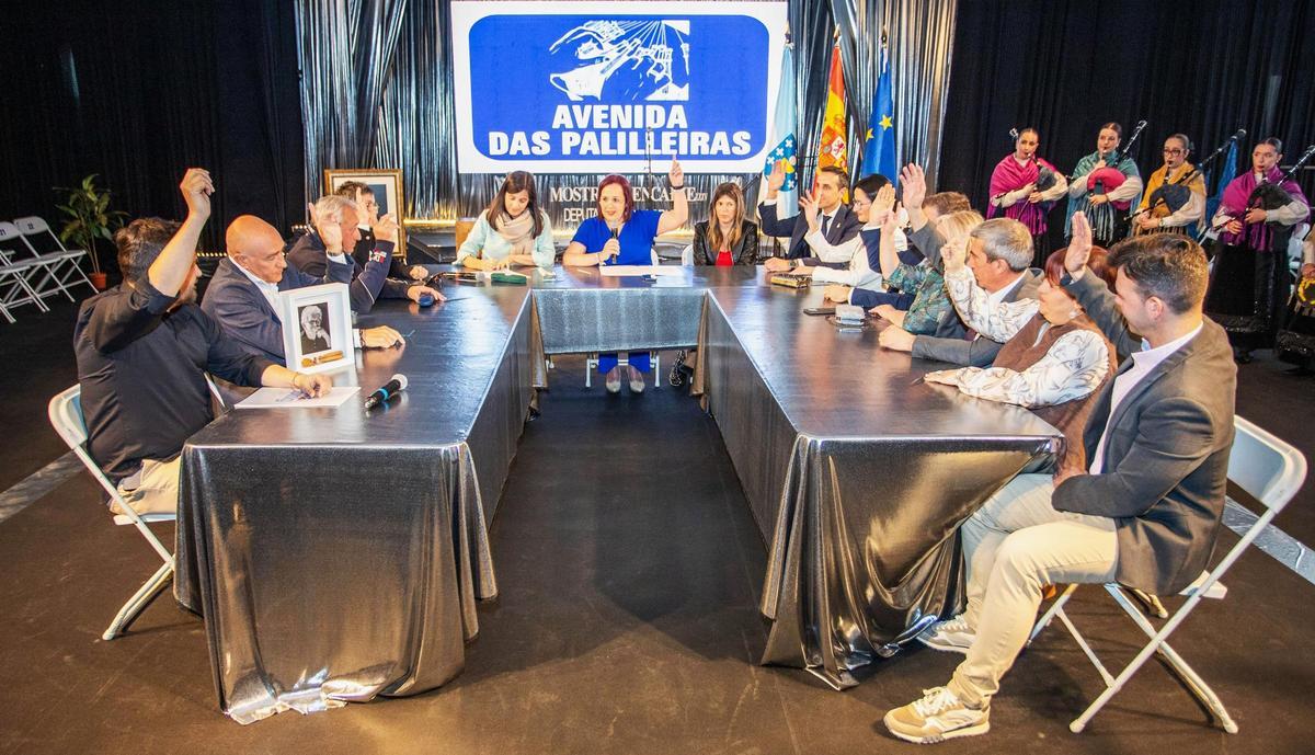 Pleno extraordinario para nomear a Avenida das Palilleiras.