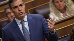El presidente del Gobierno, Pedro Sánchez, interviene durante la sesión de control al Gobierno, en el Congreso de los Diputados, a 29 de mayo de 2024, en Madrid (España).