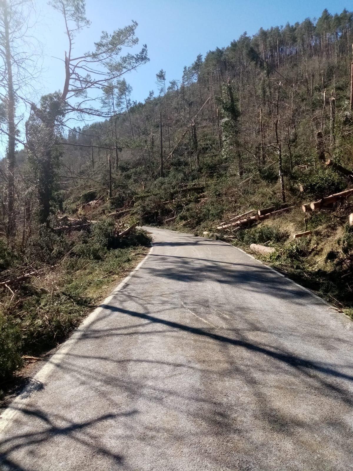 La GIV-4714 a Campelles, era l’única via de la xarxa viària de la Diputació de Girona que encara continuava afectada pels efectes del vent.