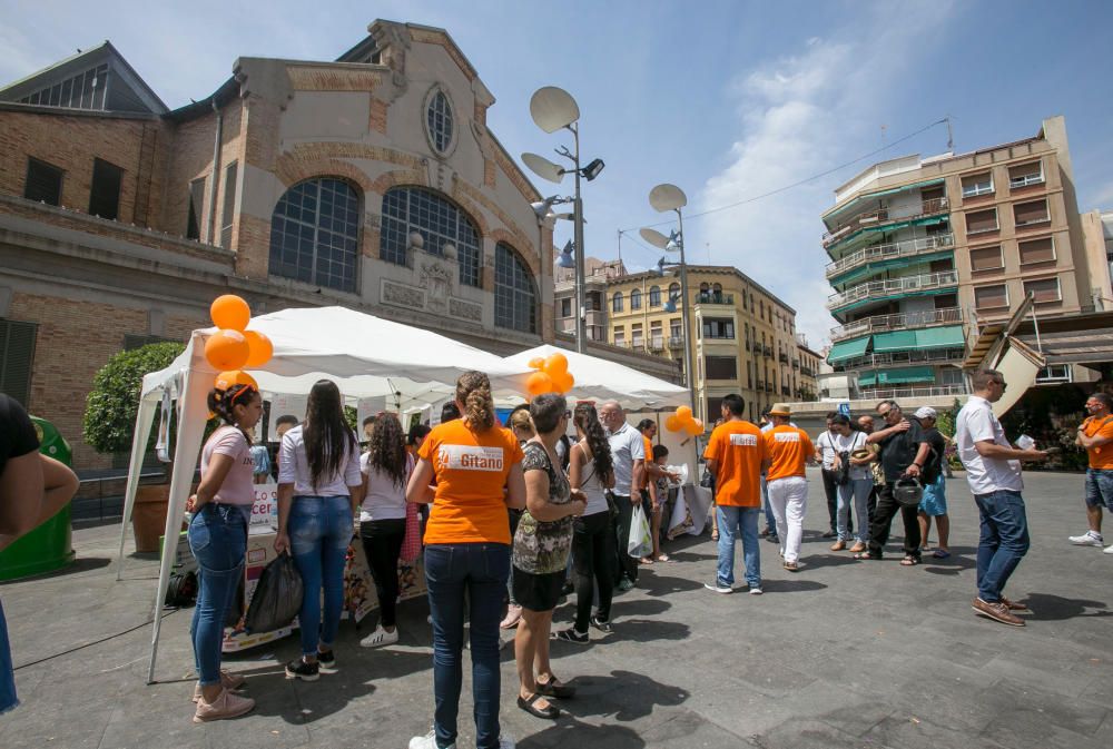 La jornada de puertas abiertas se celebró en la plaza del Mercado