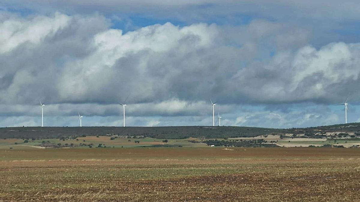 Parque eólico “El Hierro” de Losacio de Alba. | Chany Sebastián