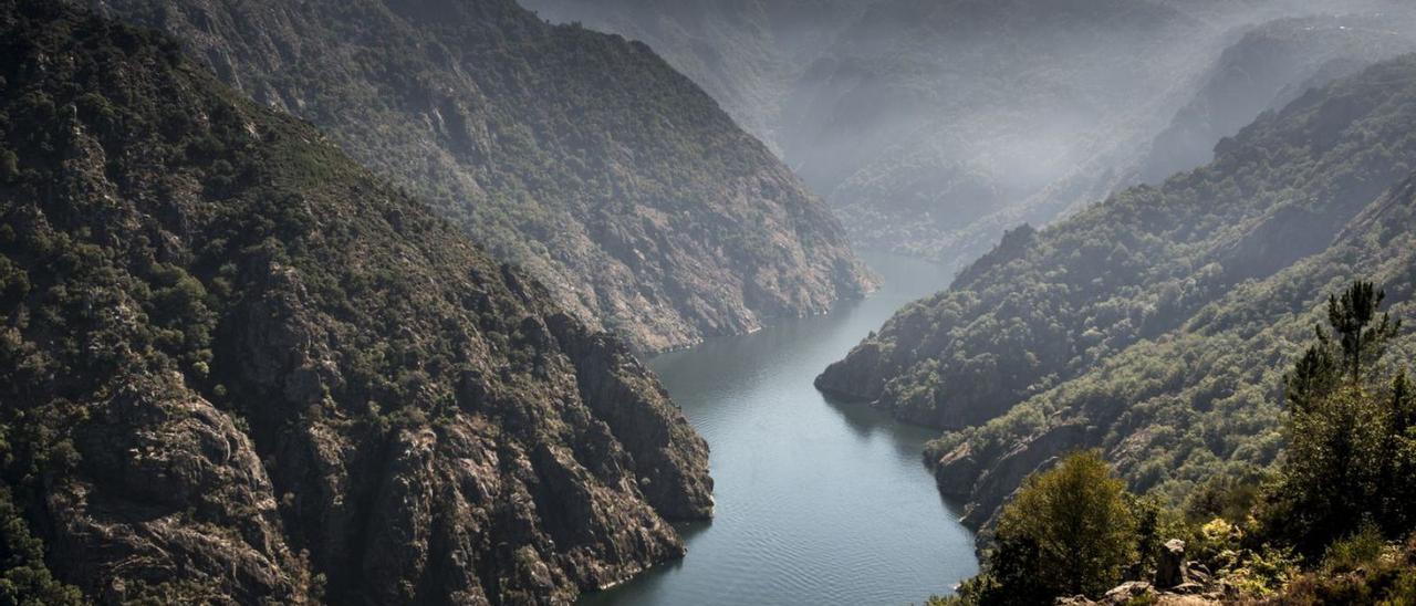 El Cañón del Sil es uno de los principales atractivos de la Ribeira Sacra. |   // BRAIS LORENZO