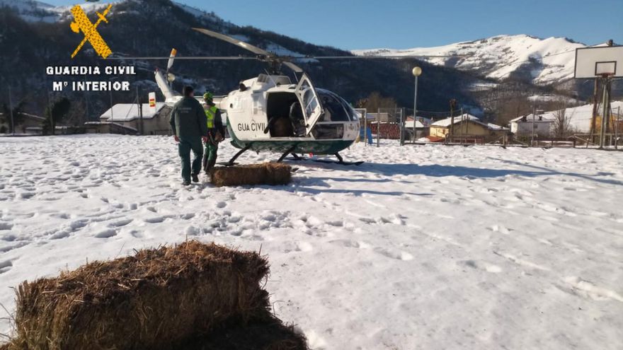 La resaca de &quot;Filomena&quot;: la Guardia Civil lleva comida en su helicóptero a los caballos atrapados por la nieve en Aller