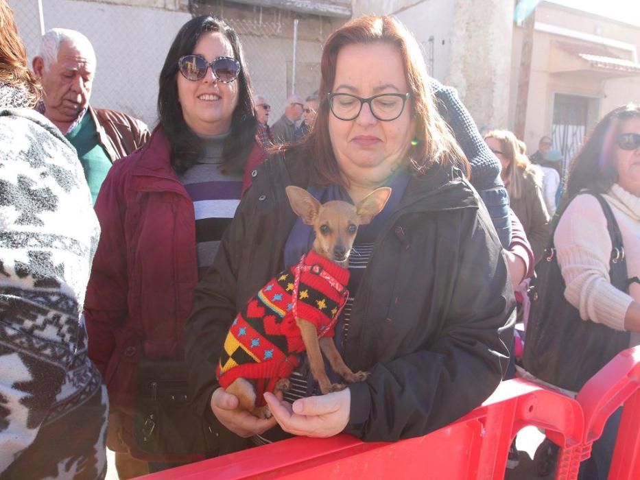 Los vecinos de Cartagena se han acercado junto a sus mascotas a recibir la bendición