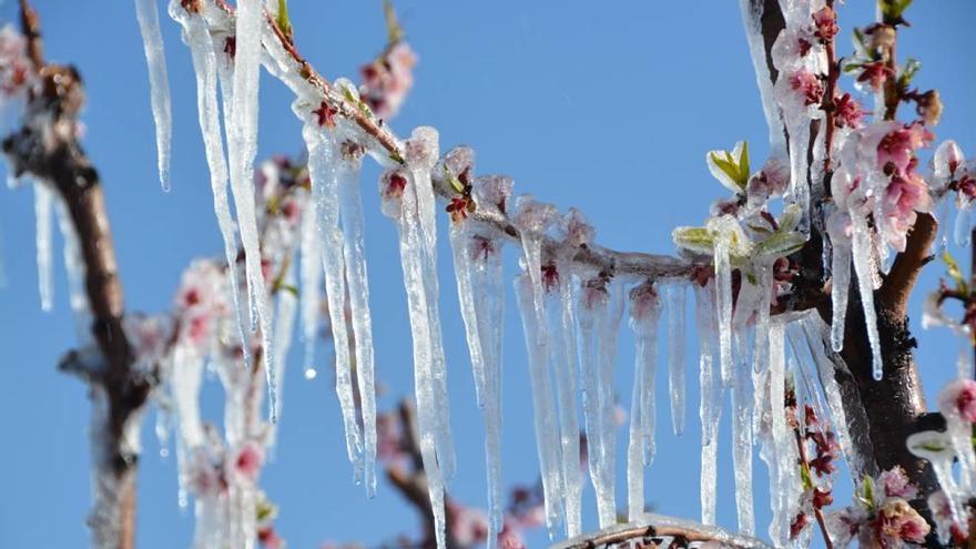 Las temperaturas llegaron a bajar hasta los -6ºC.