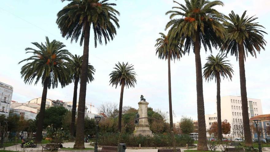 Ejemplares de palmeras en la Rosaleda de Méndez Núñez.   | // IAGO LÓPEZ