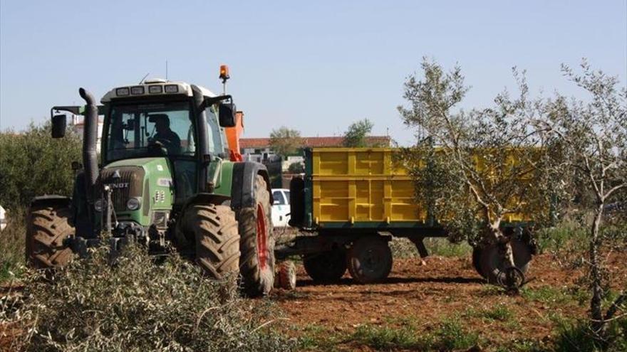 Los agricultores ya tienen asignadas las 15.000 hectáreas para el regadío