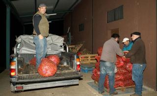 Un alistano salvará la campaña de castañas con la recogida de 600 toneladas