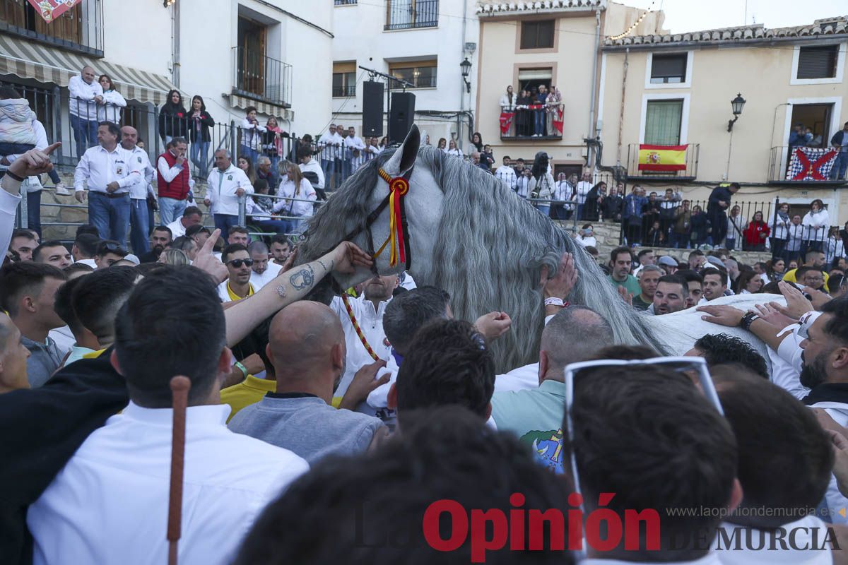 Entrega de premios del concurso de 'Caballo a pelo' en Caravaca