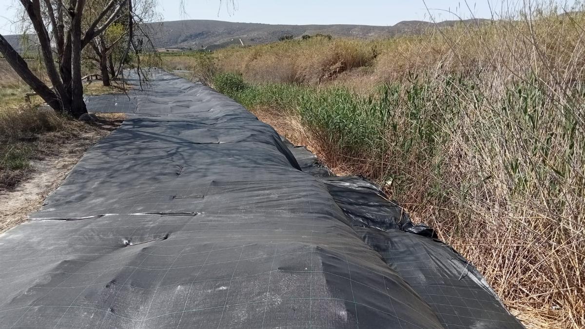 Colocación de lona geotextil en uno de los puntos del río.