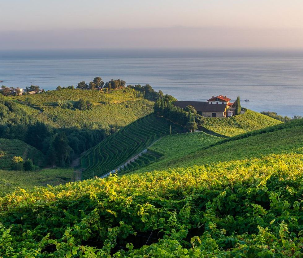 El paisaje de estos viñedos son casi tan impresionantes como su vino.