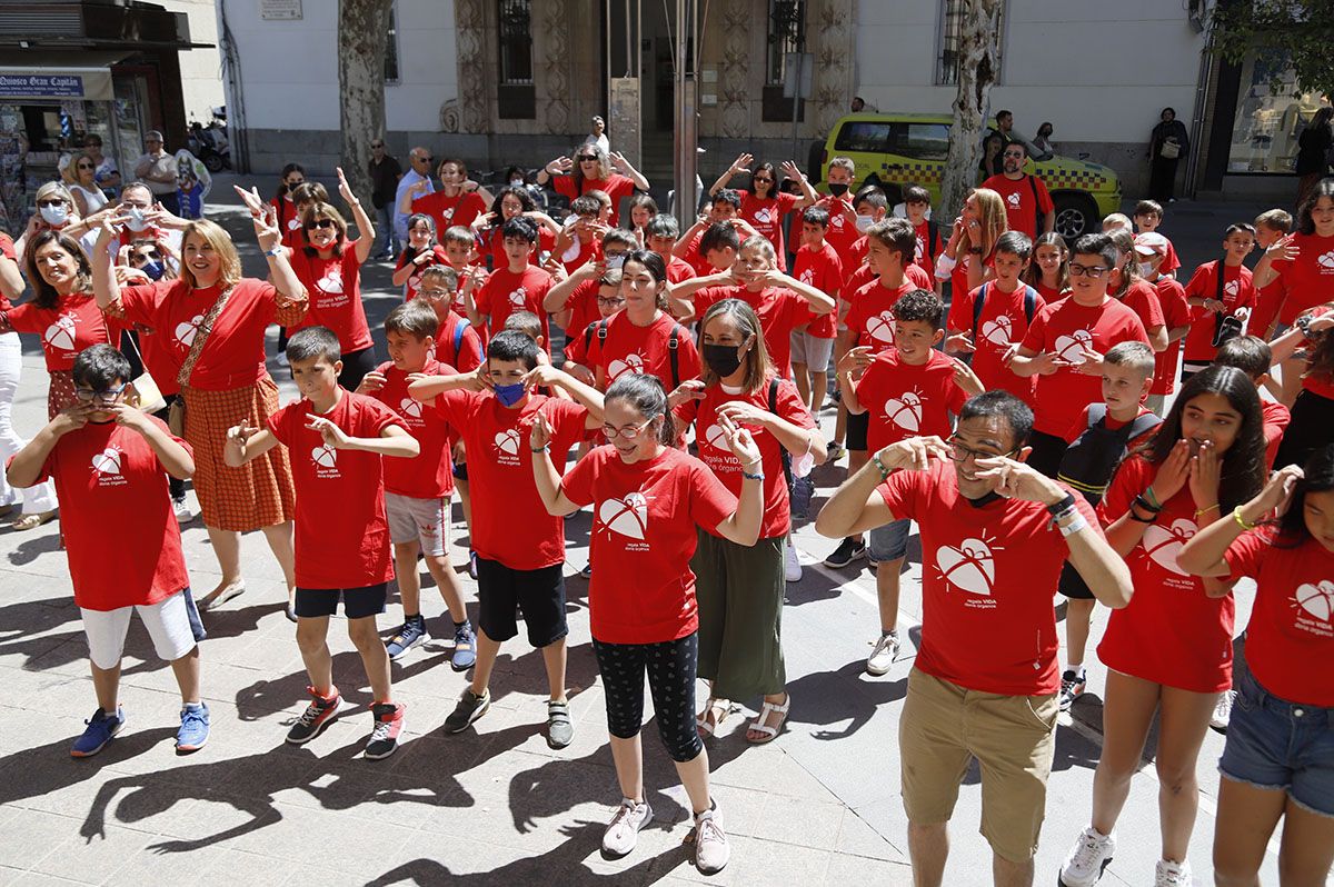 Flashmob por la donación en Córdoba en la Semana del Donante.