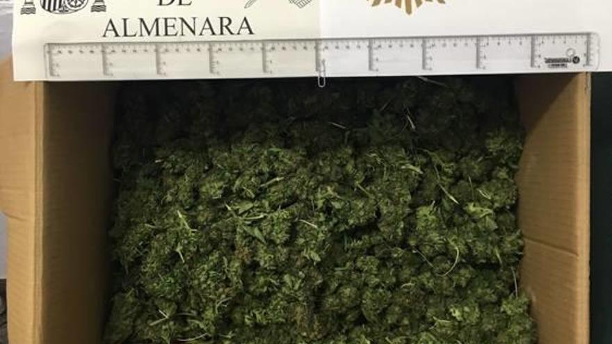 Cogollos de marihuana incautados en Almenara.